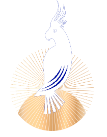 Logo Calypso blanc, cosmétiques naturels et bio pour visage et corps