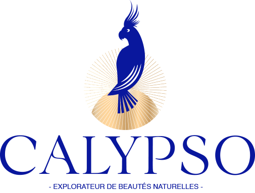 Logo Calypso bleu, cosmétiques naturels et bio pour visage et corps